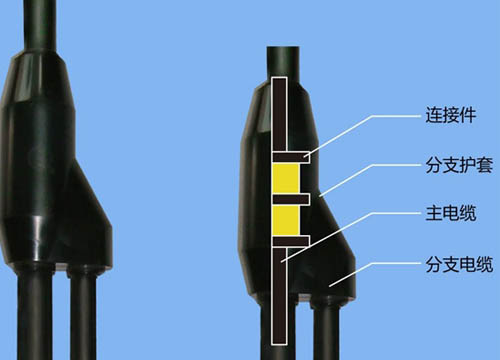 分支電纜